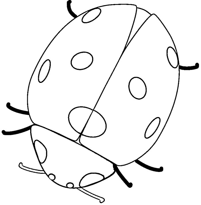 700x715 Lady Bug Coloring Pages Ladybug Coloring Pages Getcoloringpages