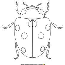220x220 Ladybug Coloring Pages, Videos For Kids, Drawing For Kids, Kids
