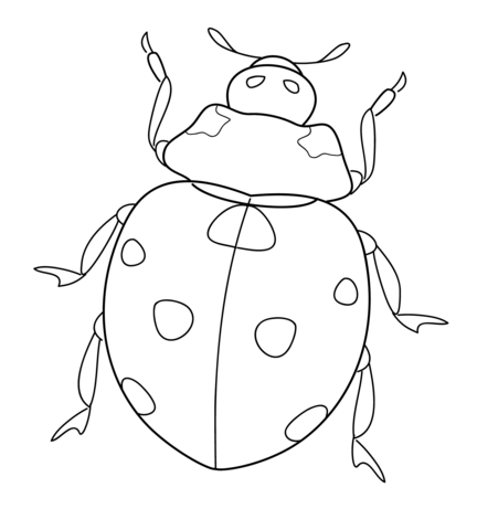 432x480 Ladybug Coloring Page Free Printable Coloring Pages
