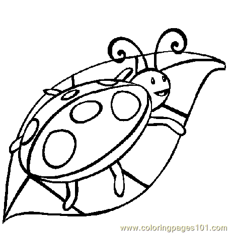 455x464 Ladybug On Leaf Coloring Page
