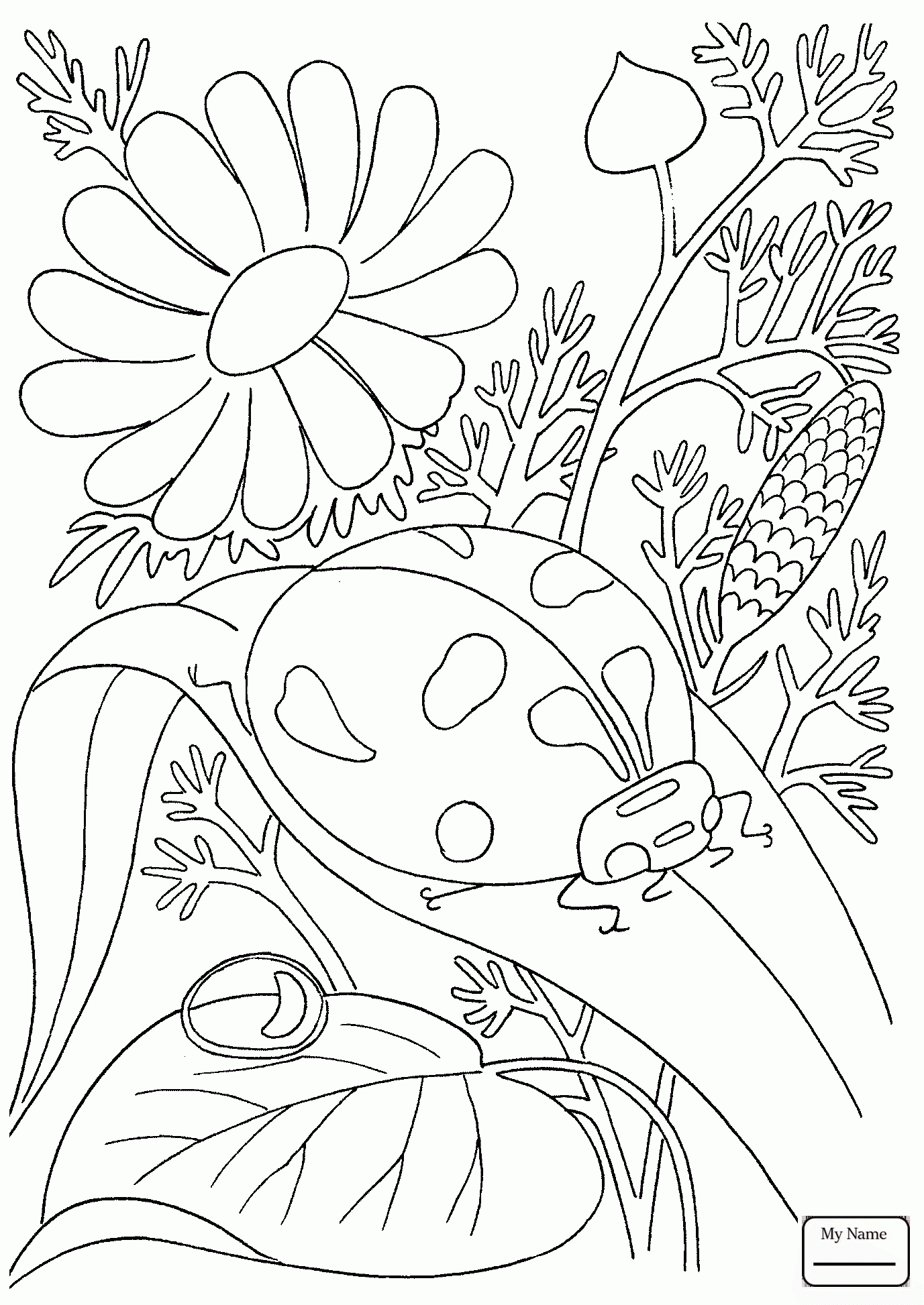 1377x1946 Coloring Pages For Kids Ladybug Insects Cartoon Ladybug
