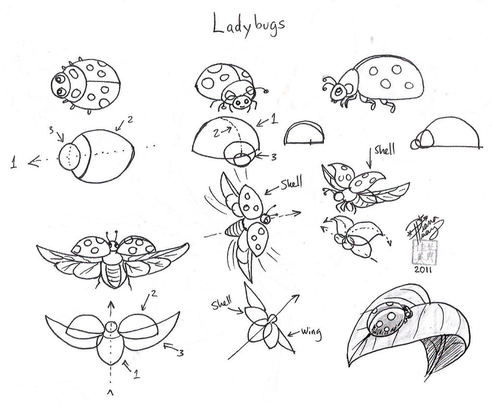 982x814 Draw Ladybugs By Diana Huang