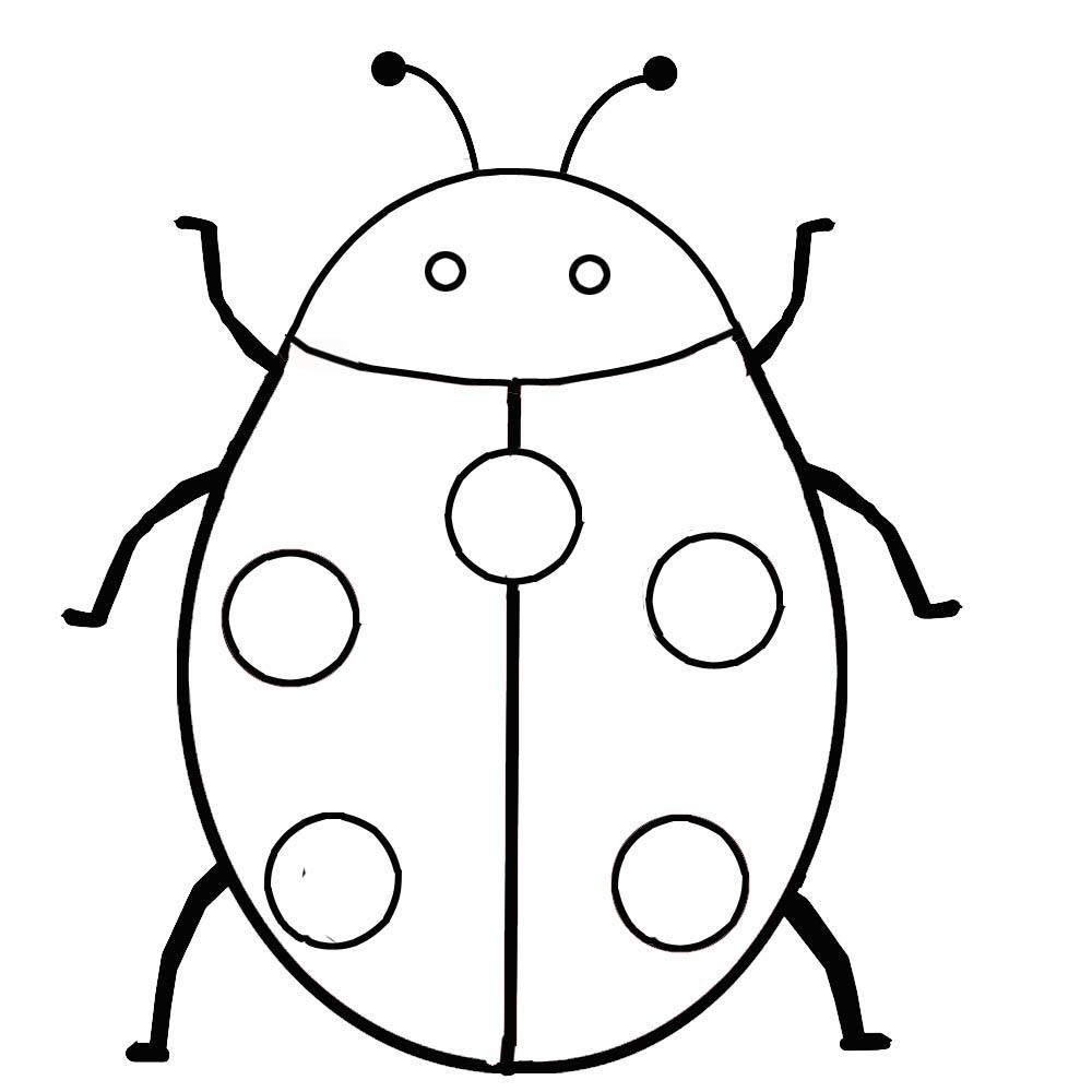 1000x1000 Pictures Of Ladybugs To Color