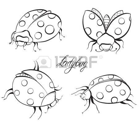 450x401 Sketch Of Ladybugs. Hand Drawn Vector Illustration. Royalty Free