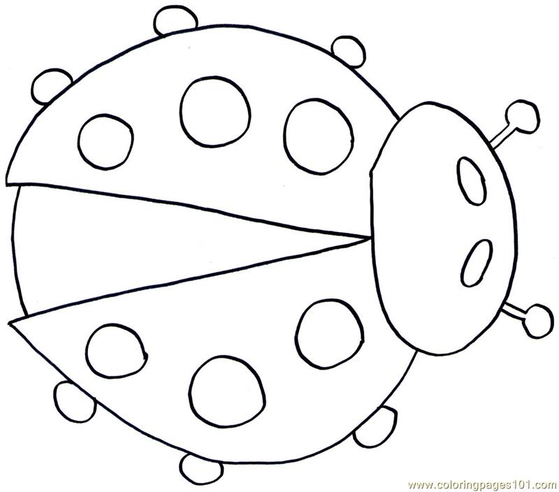 800x704 Ladybug Coloring Page