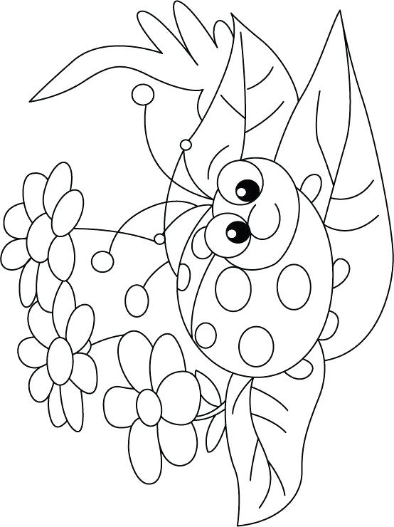 Ladybugs Drawing at GetDrawings | Free download