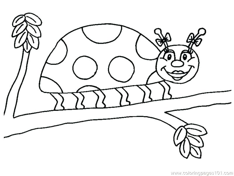 800x602 Ladybug Coloring Book Plus Lady Bug Coloring Pages Ladybug
