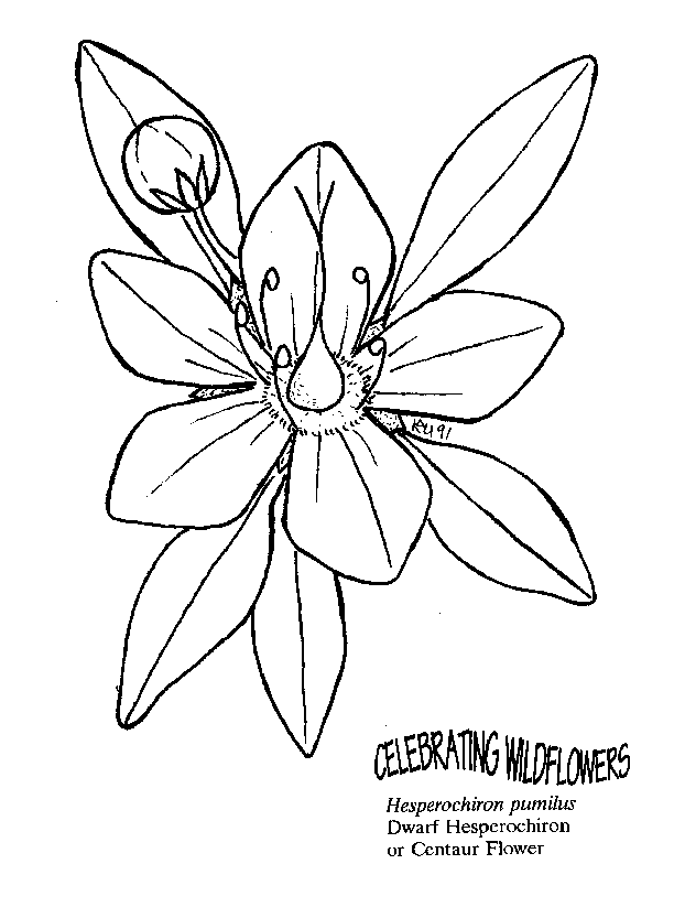 612x833 Umatilla National Forest