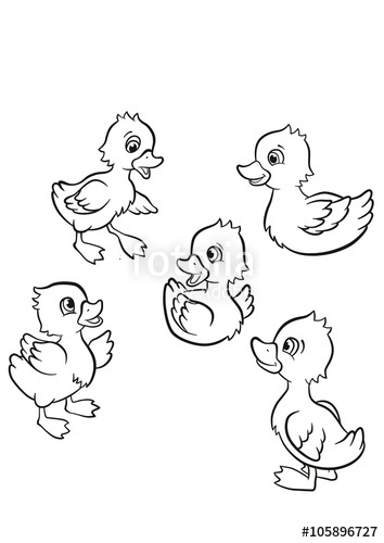 354x500 Coloring Pages. Five Little Cute Ducklings Swim On The Lake