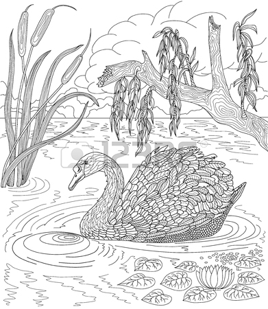 391x450 Hand Drawn Bird