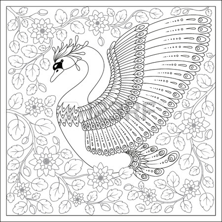450x450 Swan Drawing Stock Photos. Royalty Free Business Images