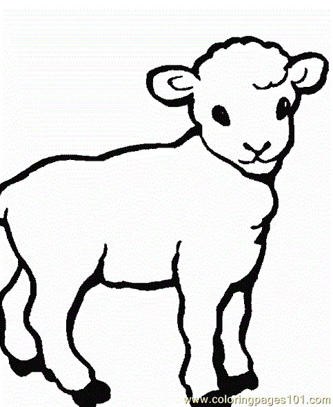 483x590 Sheep Coloring Page 0001 (12) Coloring Page