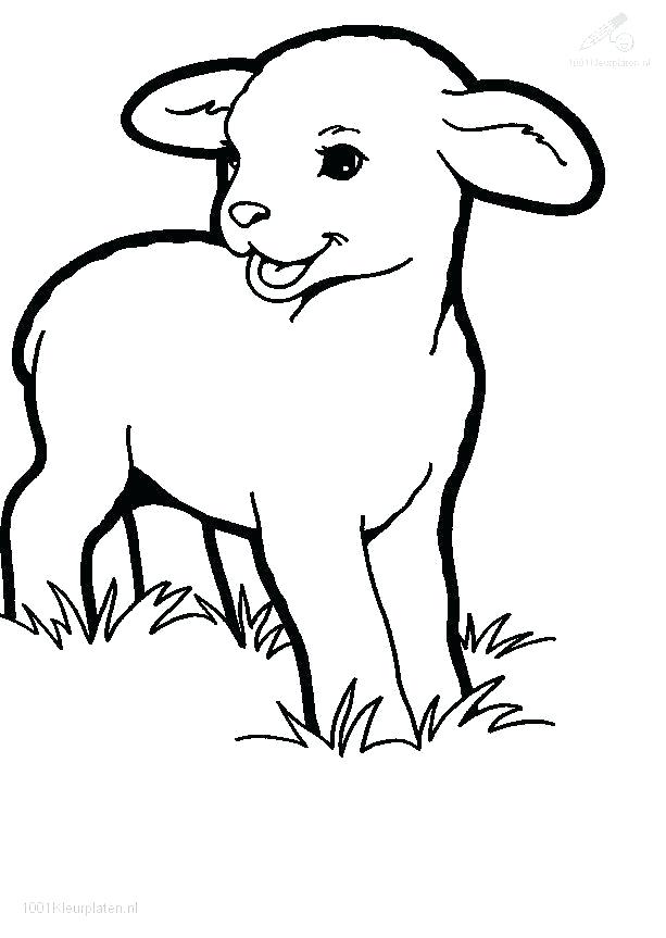 613x863 Lamb Coloring Page