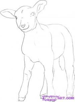 250x337 How Draw Sheep Amp Lambs Drawing Tutorials Amp Drawing Amp How