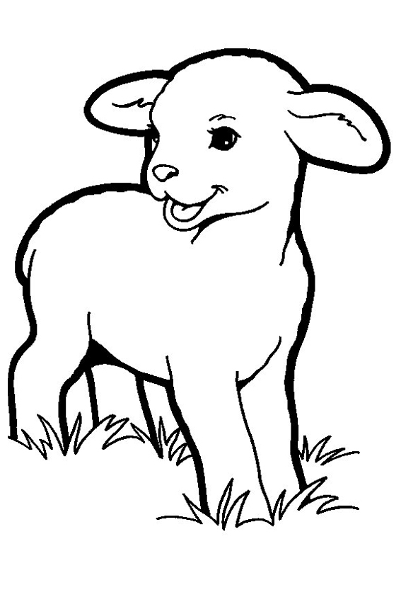 567x850 Lamb Coloring Page