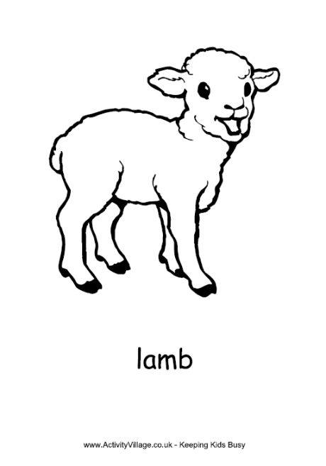 460x657 Lamb Colouring Page