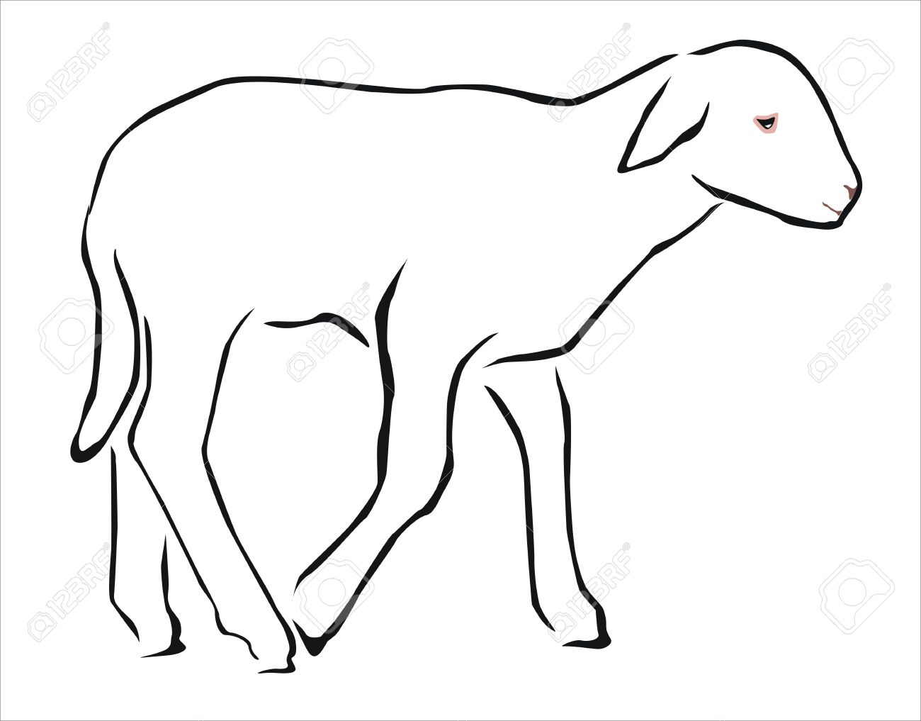 1300x1017 Drawing Of A White Lamb Royalty Free Cliparts, Vectors, And Stock