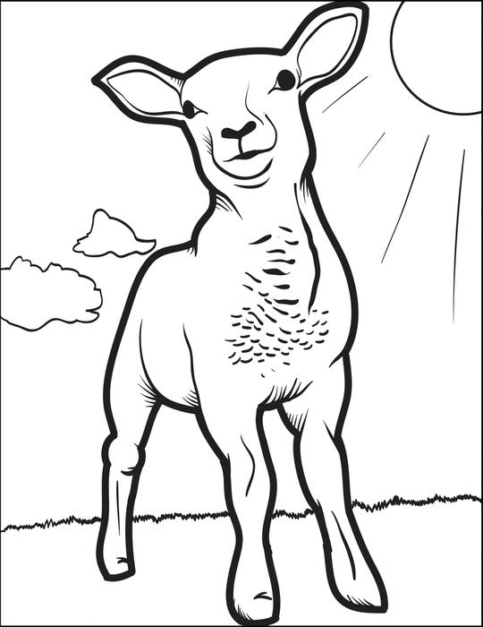 540x700 Free, Printable Lamb Coloring Page For Kids