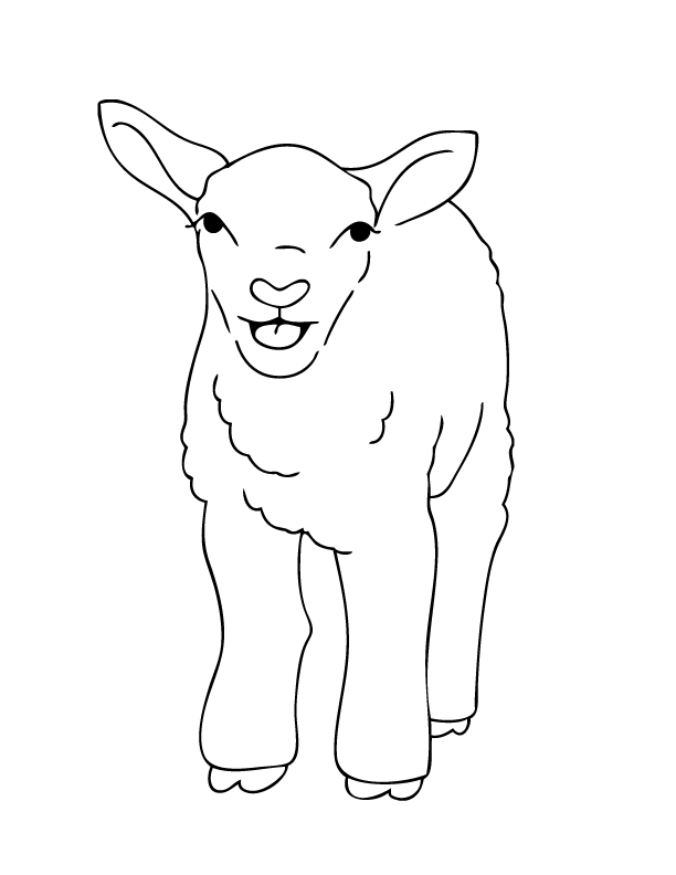 612x792 Lamb