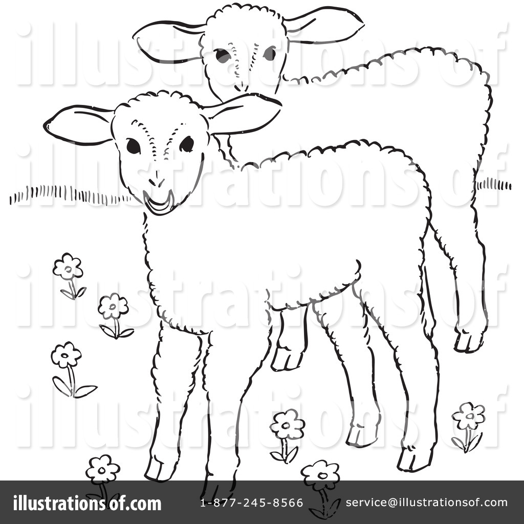 1024x1024 Lamb Clipart