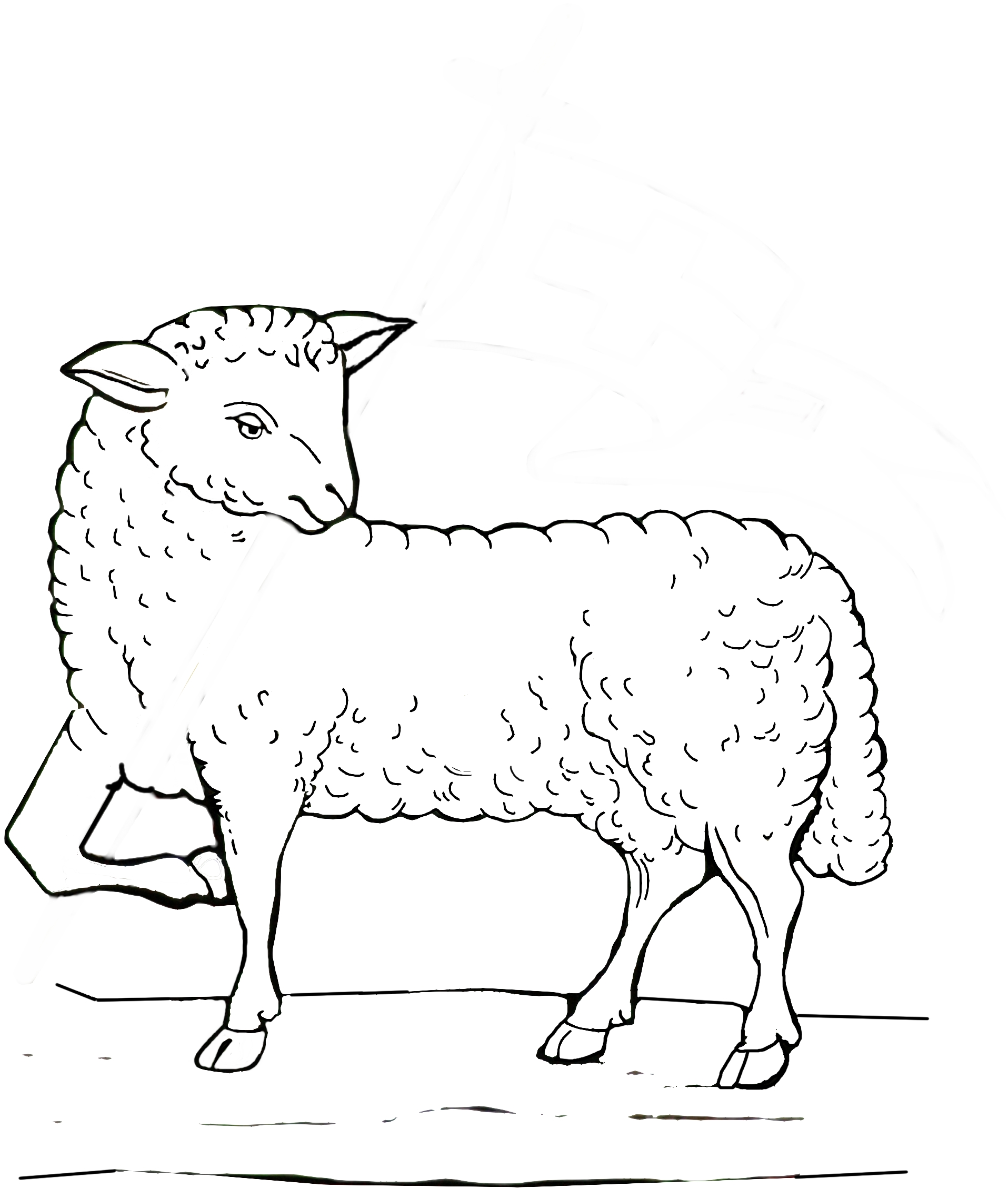 1915x2256 Filelamb Coloring Book Page 001.jpg