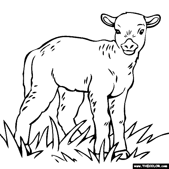 560x560 Farm Animals Online Coloring Pages Page 1