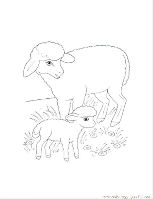 654x847 Free Printable Lamb Coloring Pages Fresh Page For Your Line