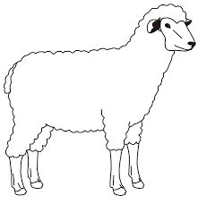 221x228 Sheep Coloring Pages Coloring Pages
