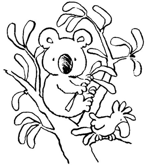 474x535 Lamborghini Gif