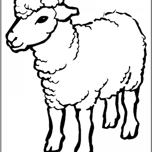 300x300 Sheep Outline Drawing Coloring Page Sheep Cartoon Images Funny