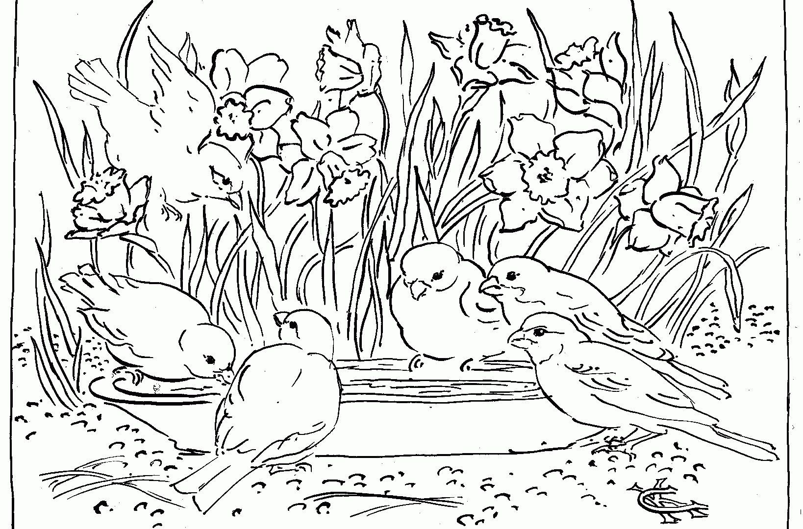 1638x1080 Coloring River Landscape Page Free Printable Pages Beautiful