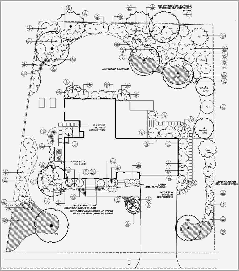 904x1024 Landscape Plan Drawing Clean Landscape Design Drawing Tools