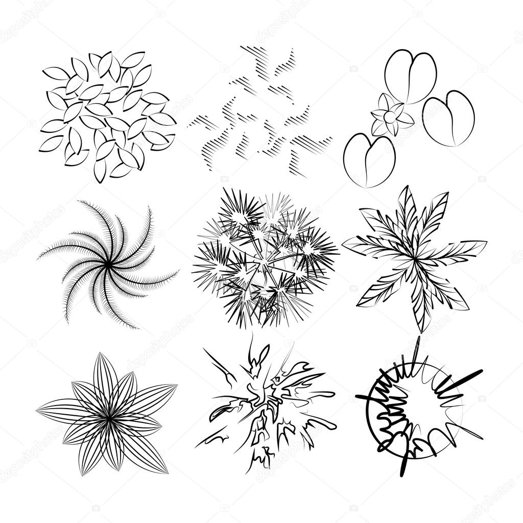 1024x1024 Set Image Of Top View Plants For Drawing In Landscape Design