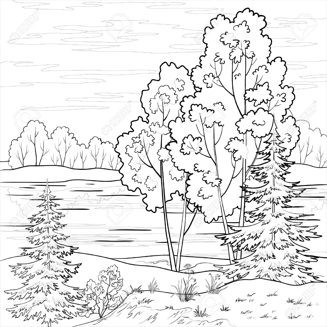 1300x1300 Contour Line Landscape Drawing
