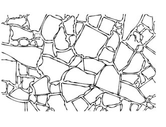 331x255 Landscape Drawings Pictures