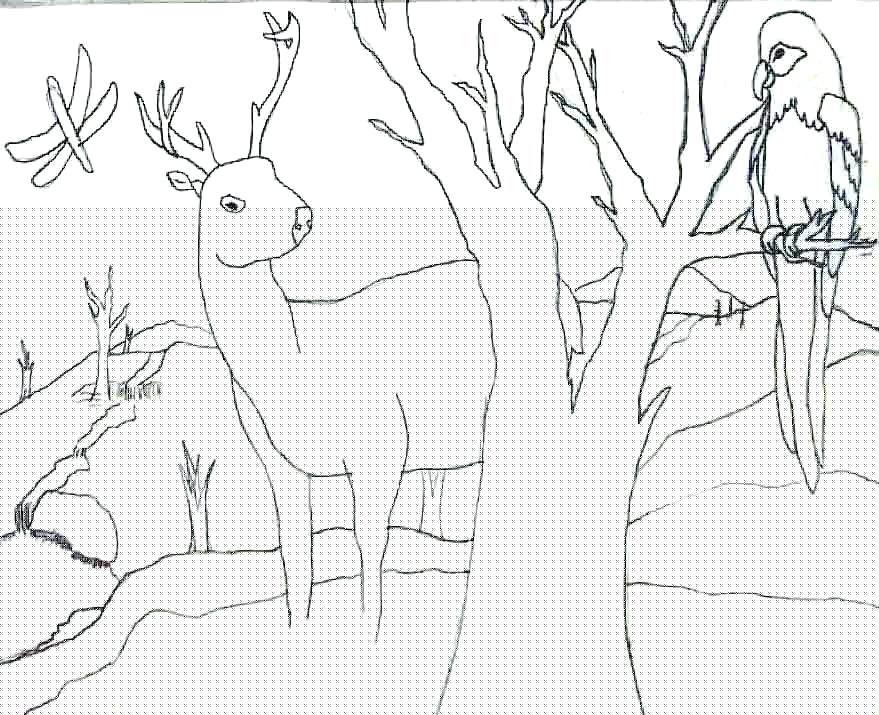 879x715 Photos Landscape Outline Drawing,