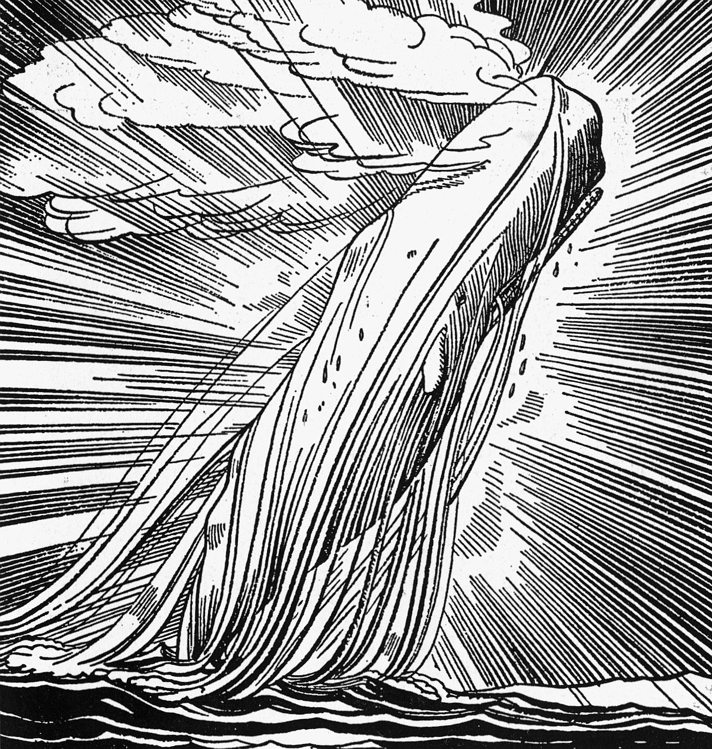 1466x1542 Animal Art Archives