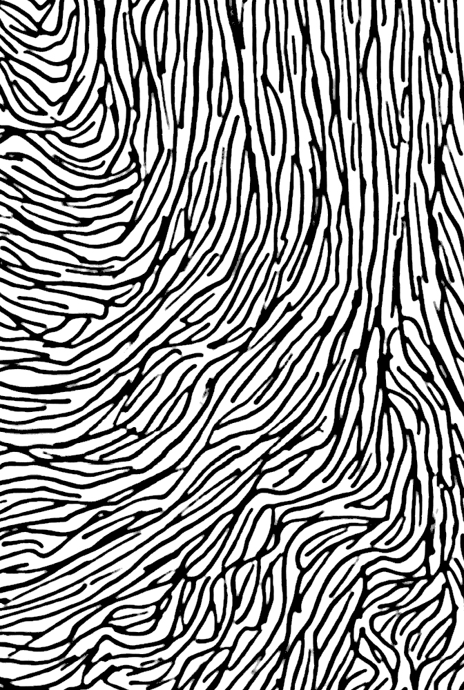 672x1000 Cecilia De Torres Ltd