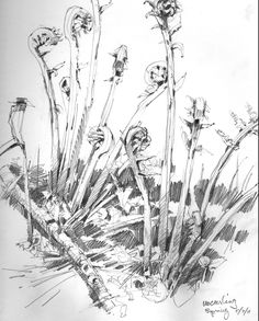 236x293 How To Draw A Tree