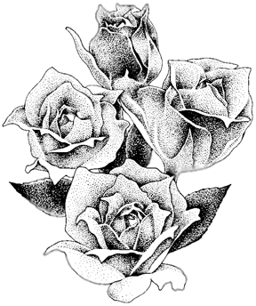 288x344 Pencil Sketches Nature Sceneries Landscapes Flowers