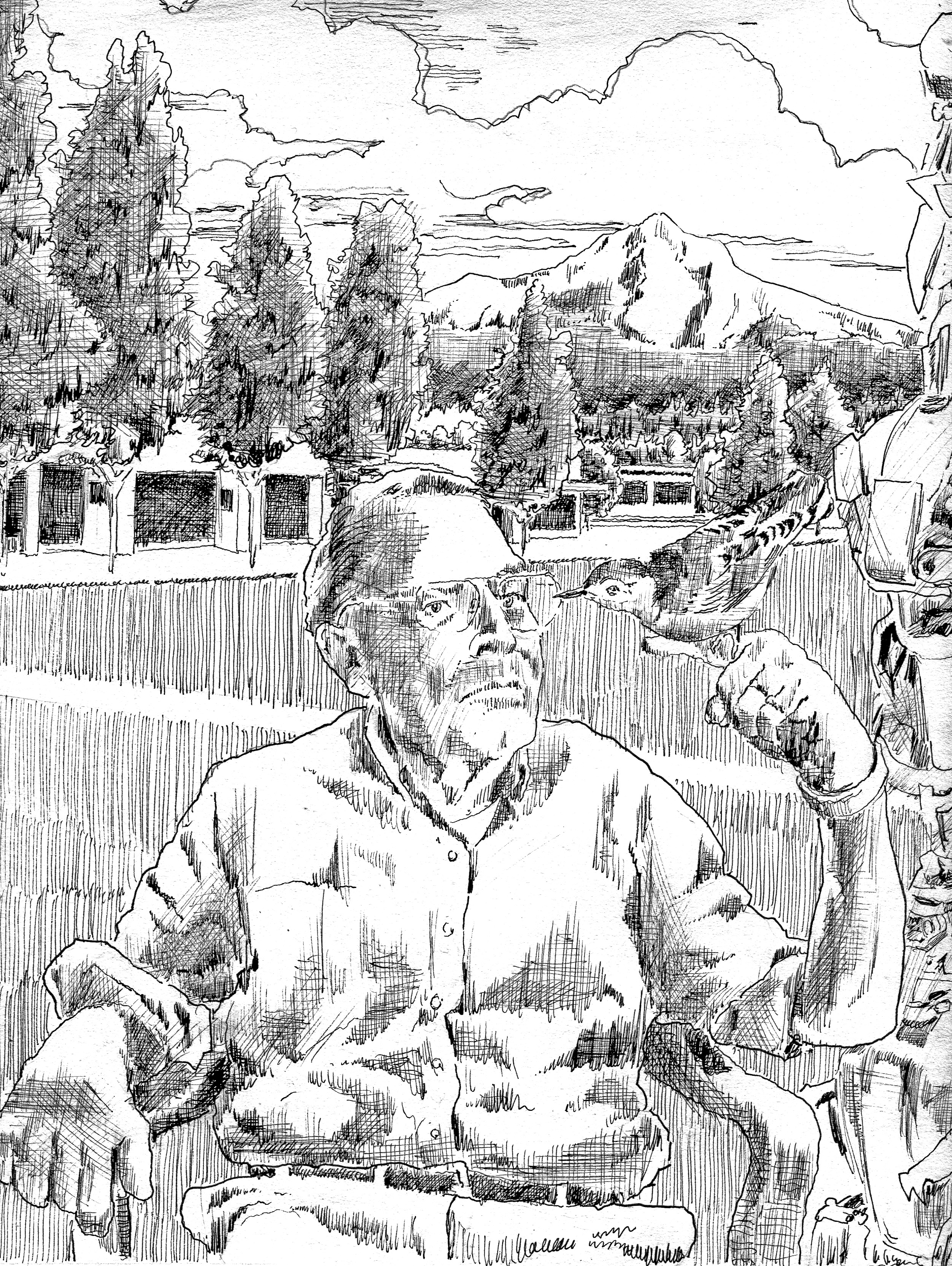 2503x3329 Landscape Shapes And Spaces