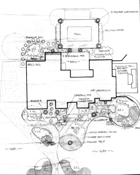 The best free Lawn drawing images. Download from 237 free drawings of ...