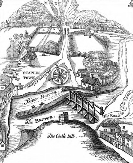 449x550 Four Courts Press Irish Demesne Landscapes,