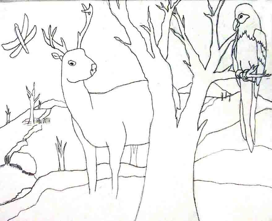 879x715 Photos Drawing Landscapes Step By Step,