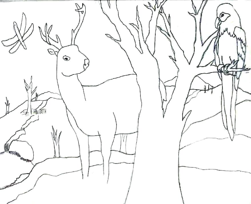 879x715 Landscape Outline Flyingangels.club