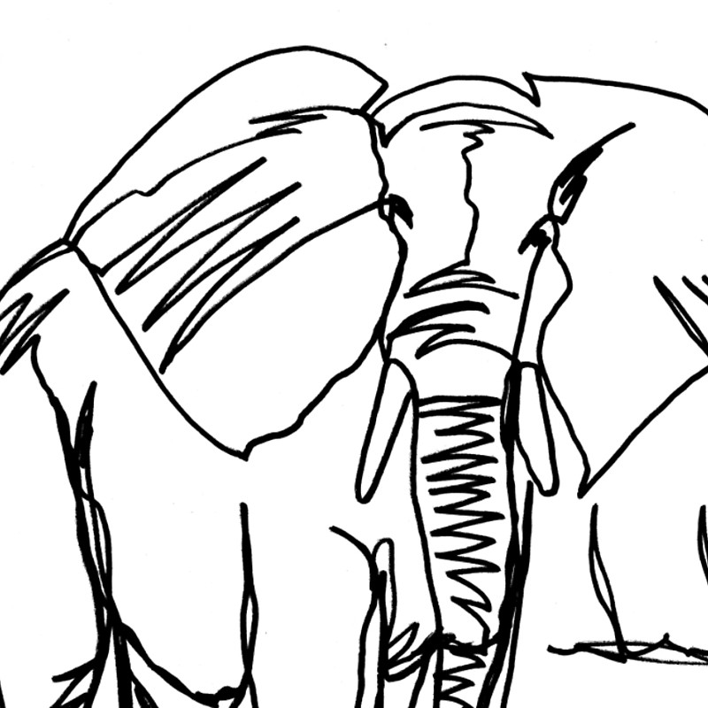 800x800 African Elephant Continuous Line Drawing Laptop Sleeves By