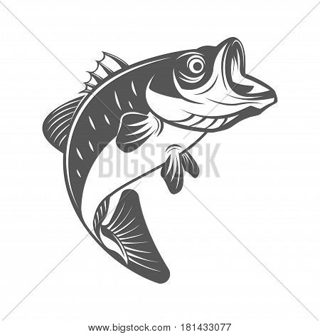 450x470 Bass Images, Illustrations, Vectors