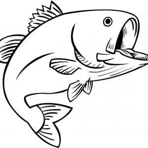 300x300 Delicious Bass Fish Coloring Pages Best Place To Color