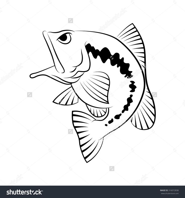 736x785 28 Best Fish Images On Pisces, Fishing And Fish