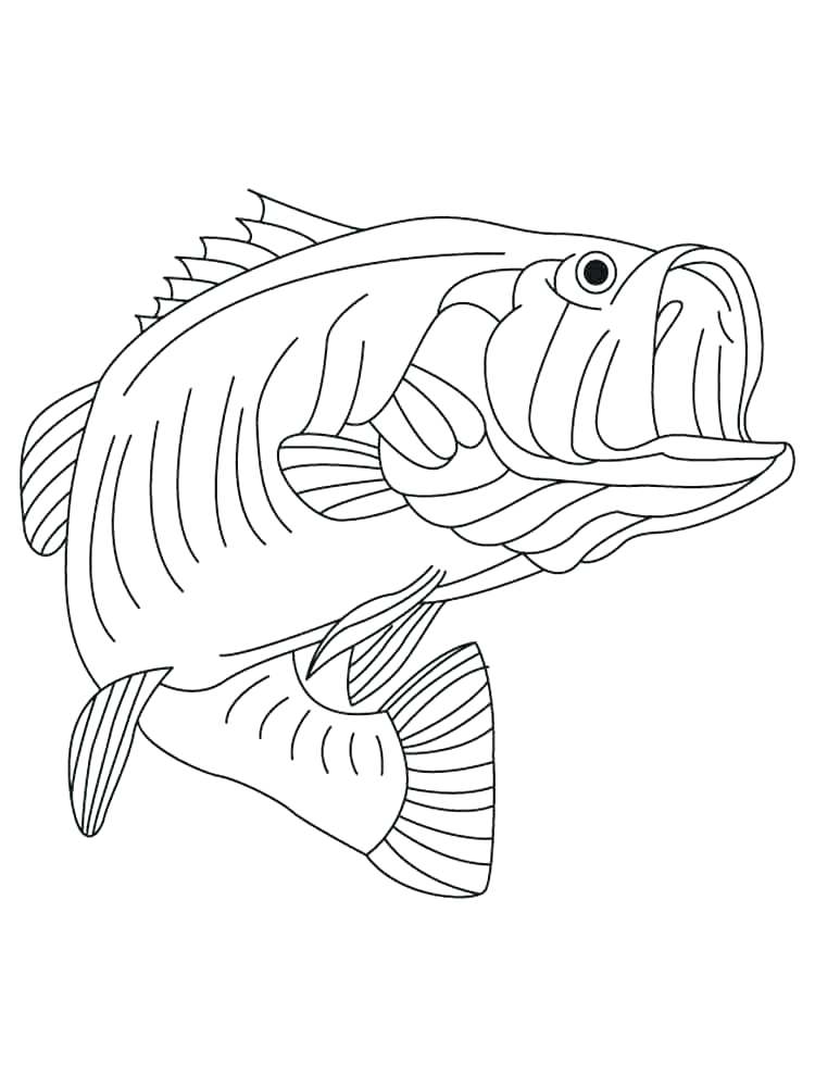 750x1000 Bass Coloring Pages Pretty Inspiration Ideas Bass Fish Coloring